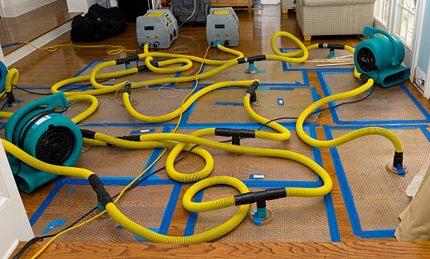 Professional Burst Pipe Water Damage technician working in Groveoak, AL